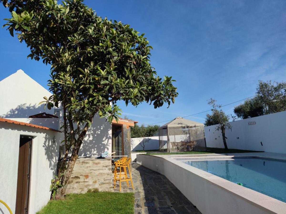 Pomar Das Oliveiras - Private Swimming Pool - Free Ev Chrg - Pet Friendly Carvalhal  Dış mekan fotoğraf