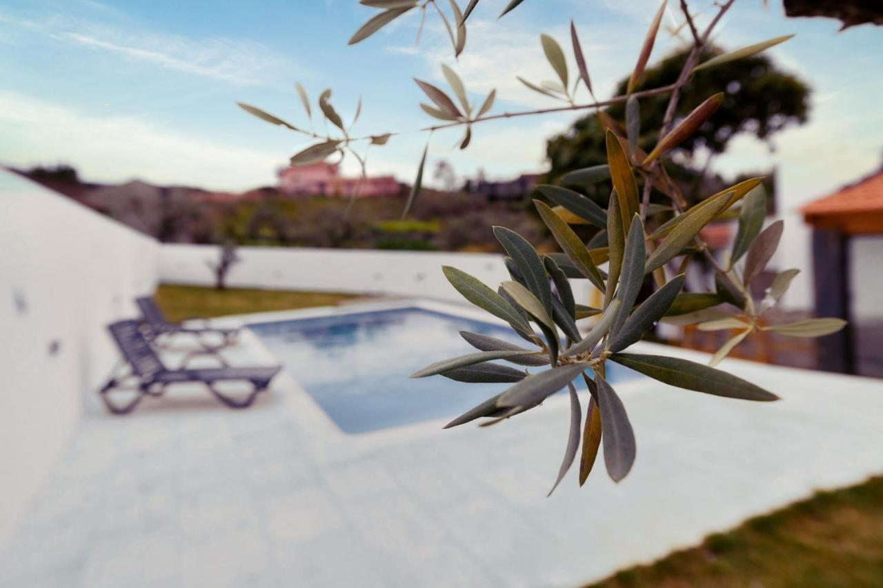 Pomar Das Oliveiras - Private Swimming Pool - Free Ev Chrg - Pet Friendly Carvalhal  Dış mekan fotoğraf